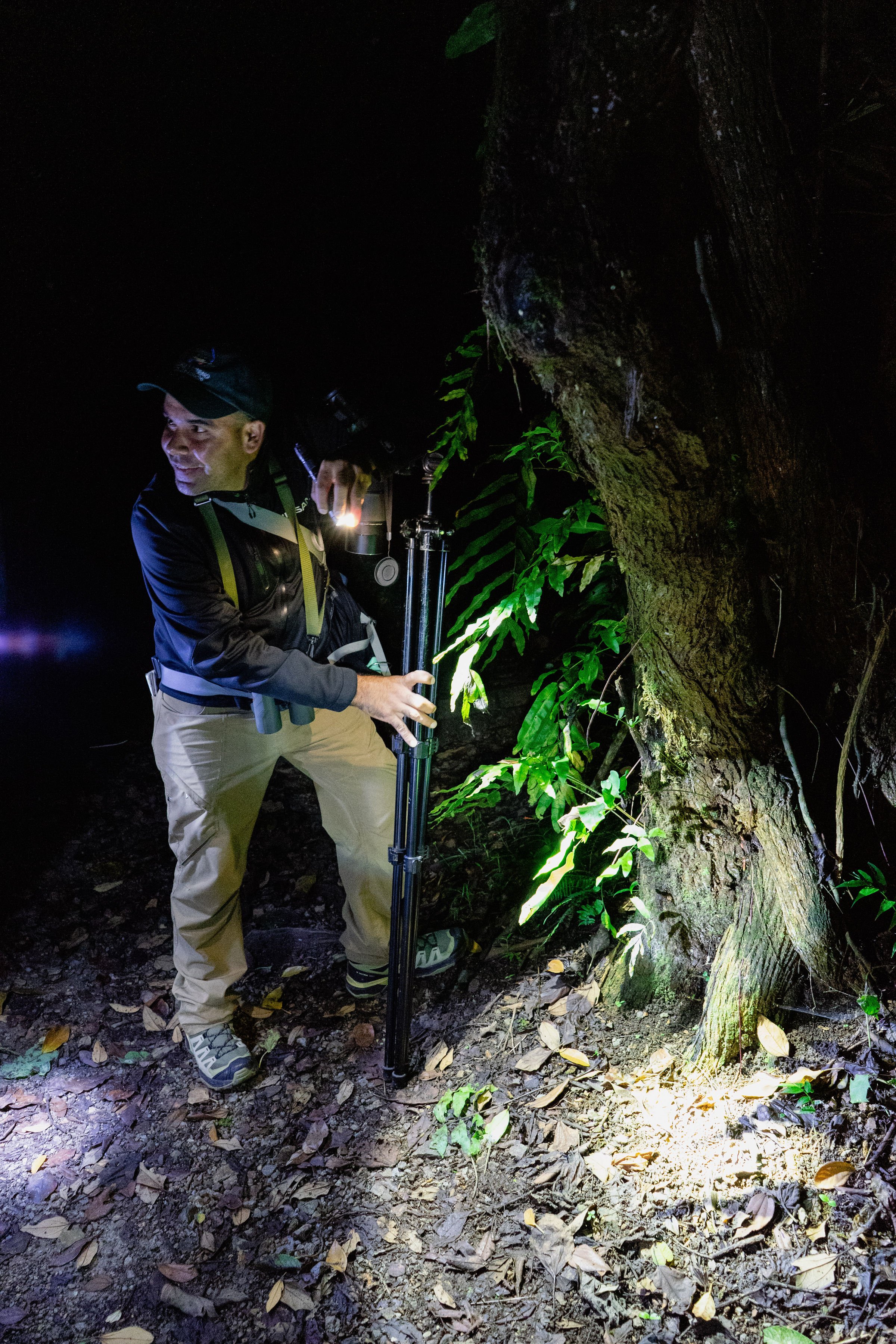 BENnightwalk-11 (1)
