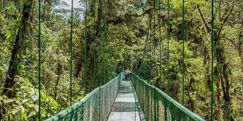 Hanging Bridges, Selvatura, Monteverde, Costa Rica