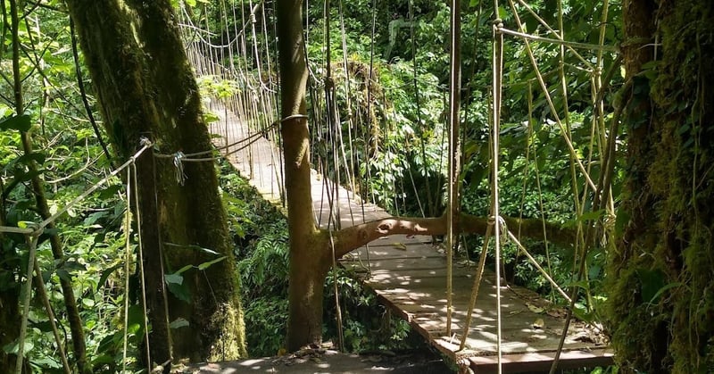 El Tigre waterfall hanging bridge