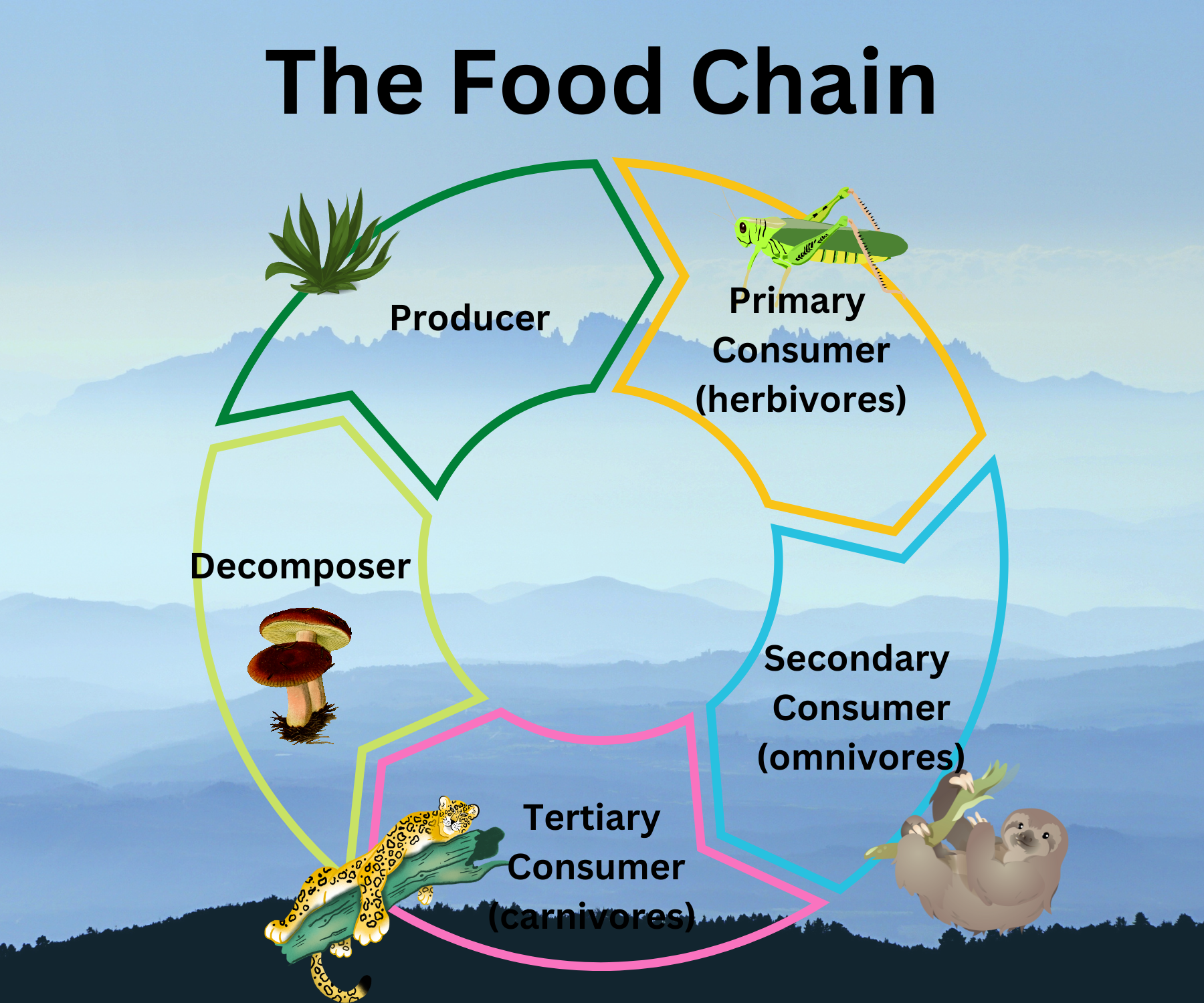 Te food Chain