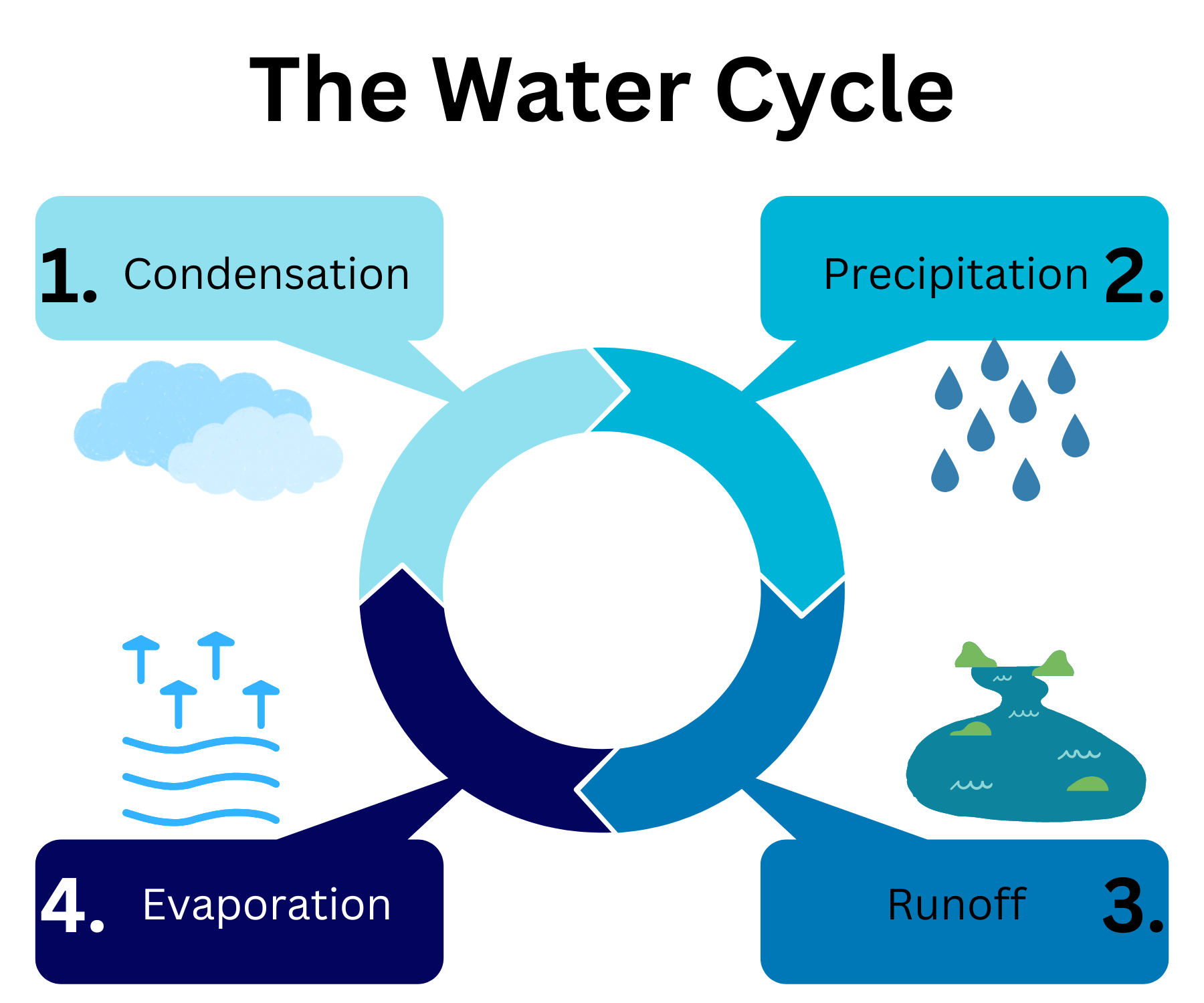 The Water Cycle