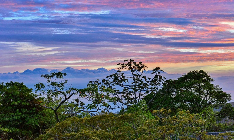 Monteverde Costa Rica (4)