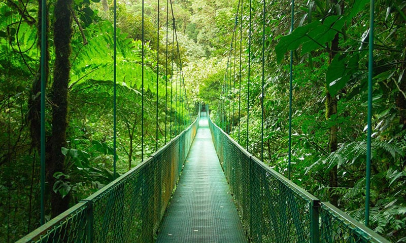 Monteverde Costa Rica (5)