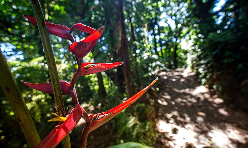 Monteverde Costa Rica