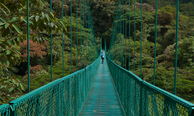 Monteverde Costa Rica