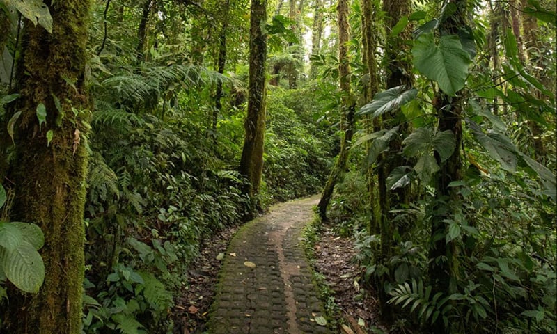 Monteverde Costa Rica