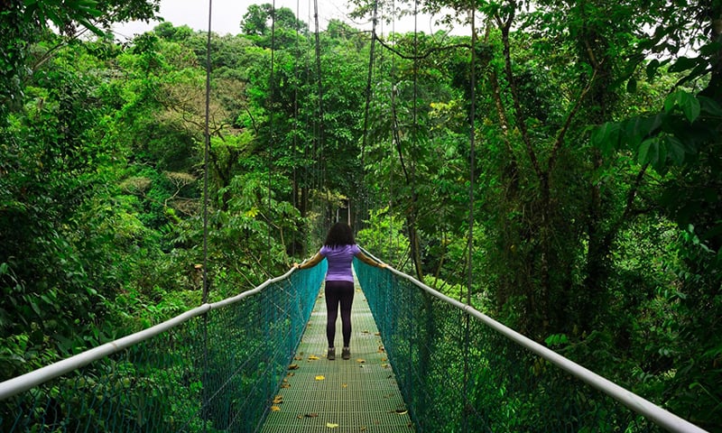 Monteverde Costa Rica  (2)
