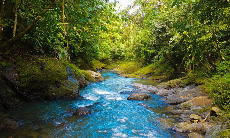 Monteverde Costa Rica (1)-1