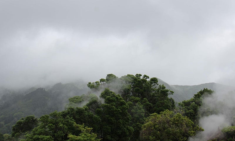 Monteverde Costa Rica (3)