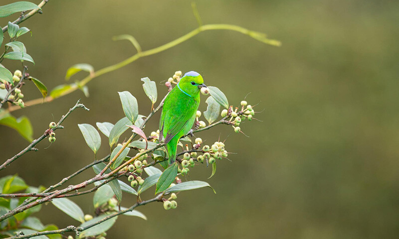 3 Simple Practices to Capture the Peace of Monteverde in Your Daily Life (7)