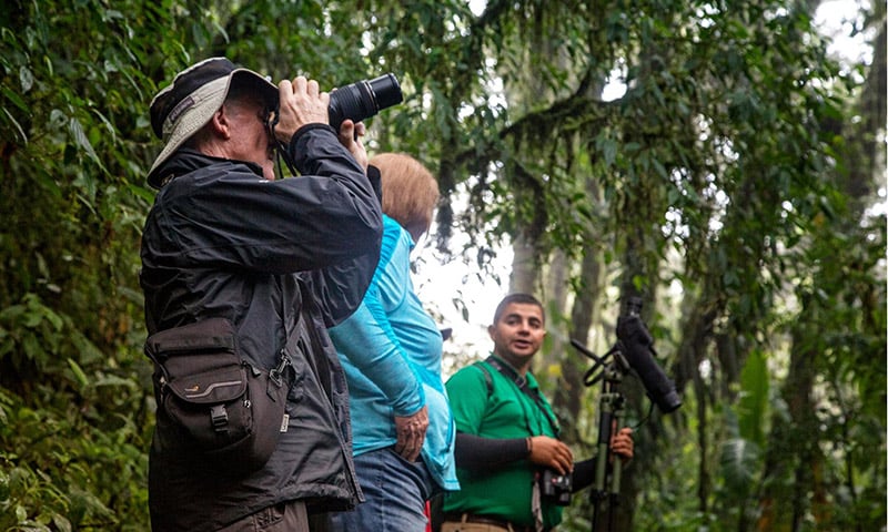 Santa Elena Cloud Forest Reserve