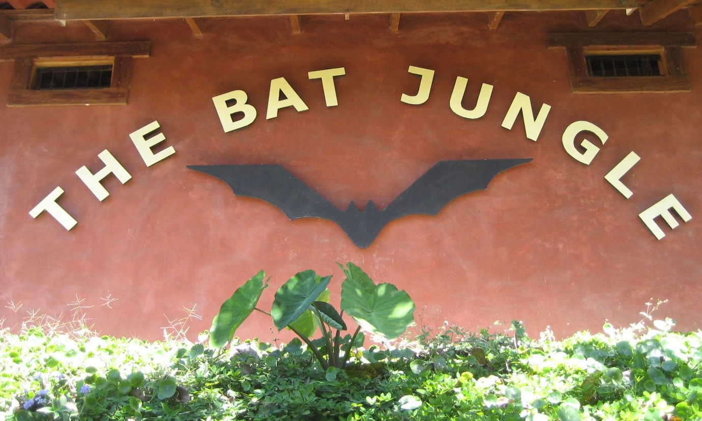 The Bat Jungle Costa Rica