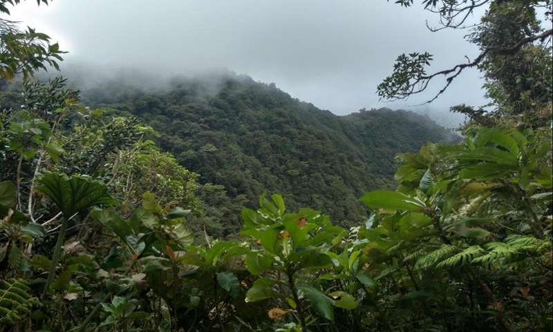 Monteverde Costa Rica