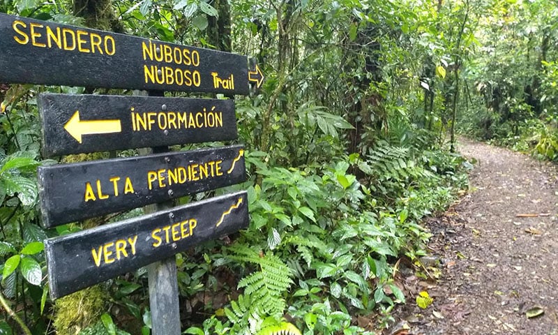 Monteverde Cloud Forest Reserve