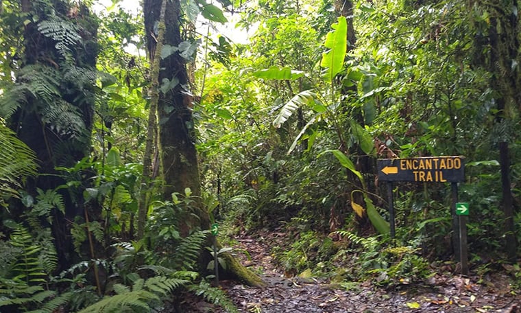 Santa Elena Cloud Forest Reserve