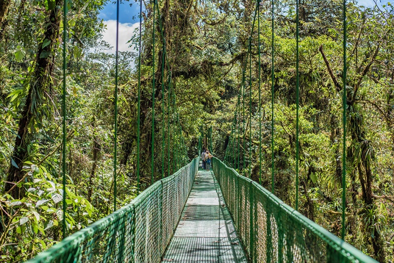 Hanging Bridges Monteverde Costa Rica