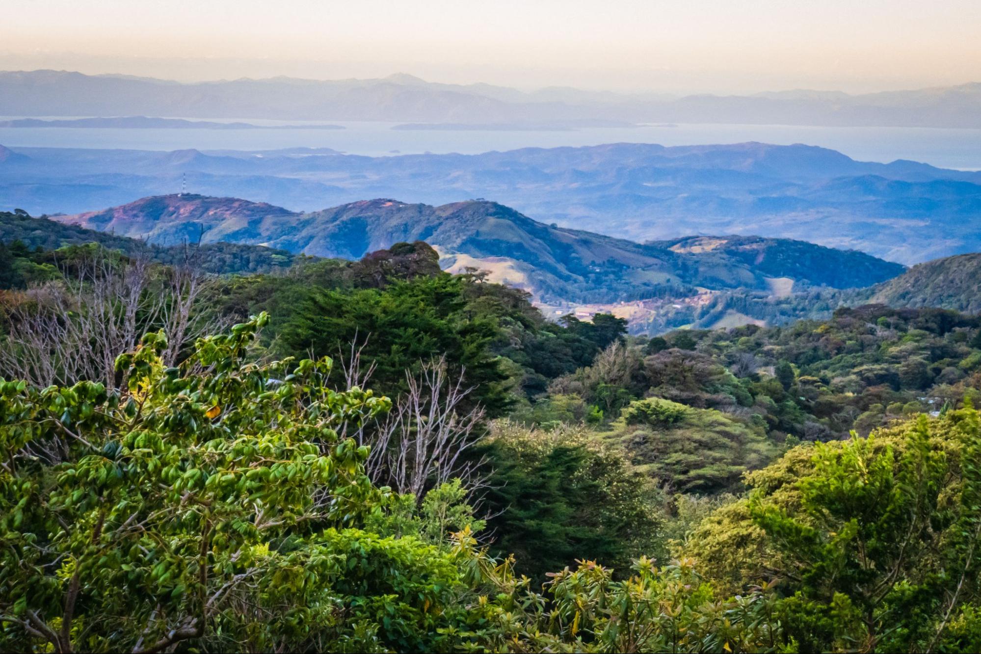 Monteverde Costa Rica (13)