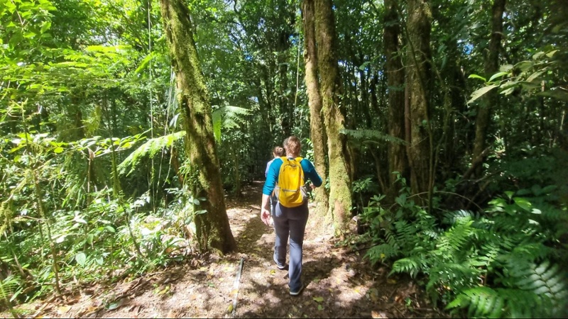 Monteverde Costa Rica (18)-1