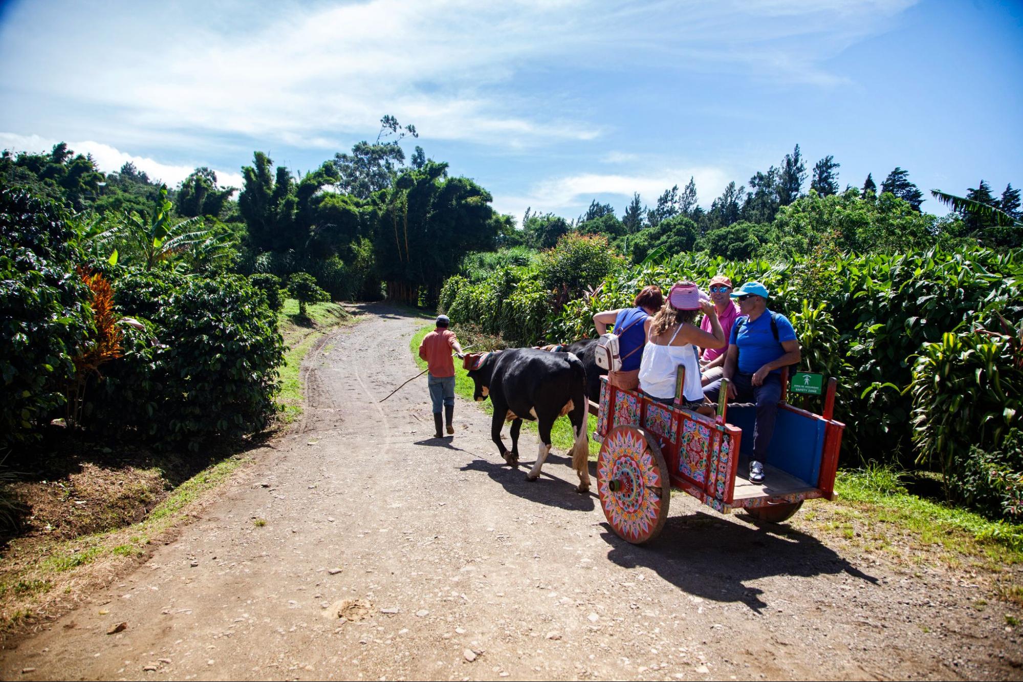 Monteverde Costa Rica (25)