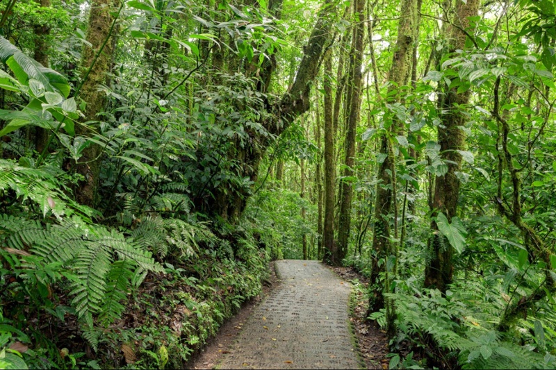 Monteverde Costa Rica (34)-1