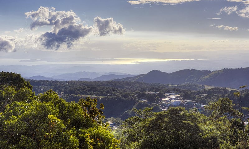 Monteverde Costa Rica (37)