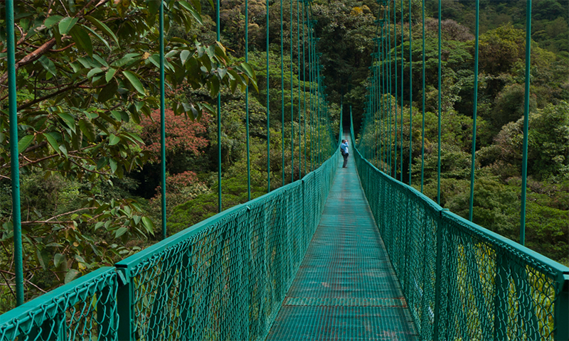 Monteverde Costa Rica - Ocotea Boutique Hotel (5)