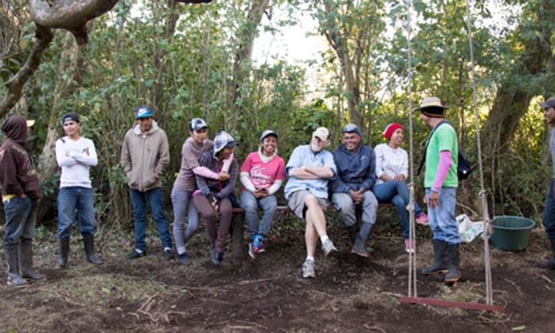 Monteverde Costa Rica (1)