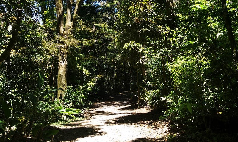 Monteverde (18)