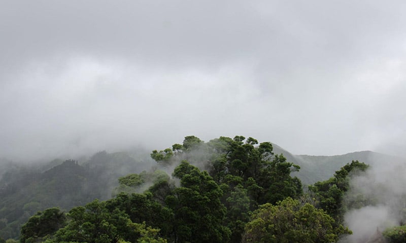 Monteverde (32)
