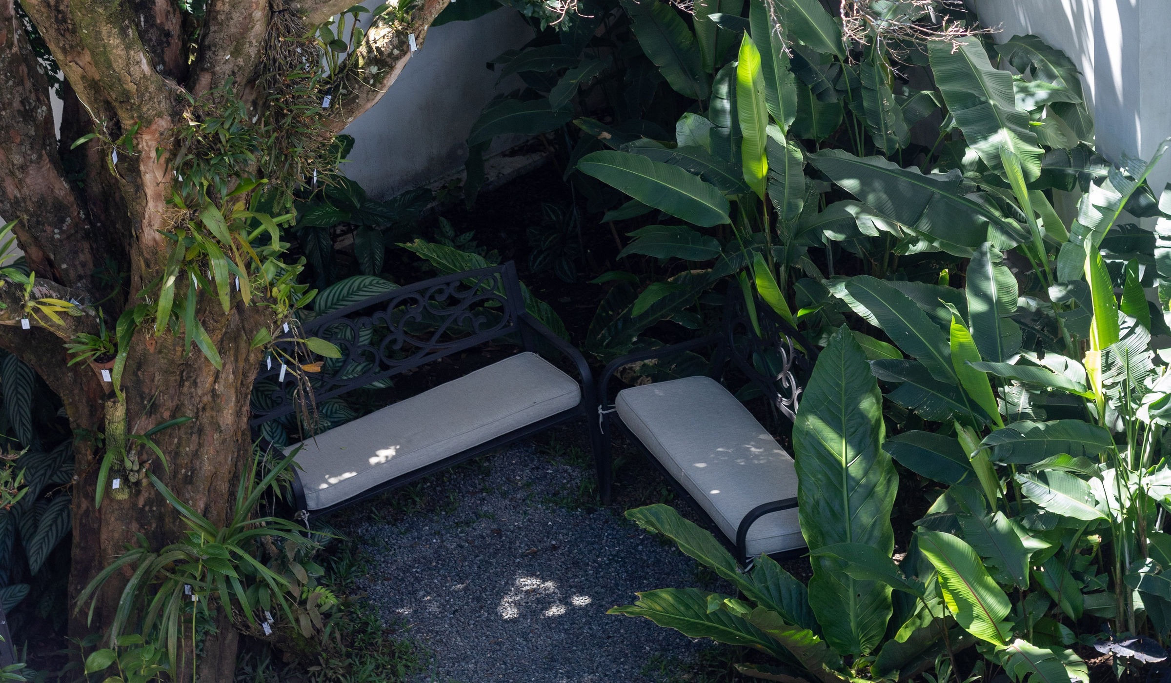 Ocotea Hotel ́s back garden