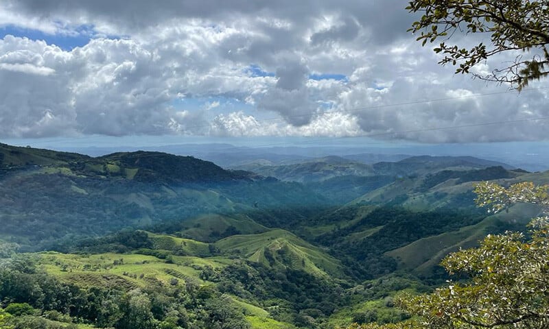 Today in Monteverde (9)