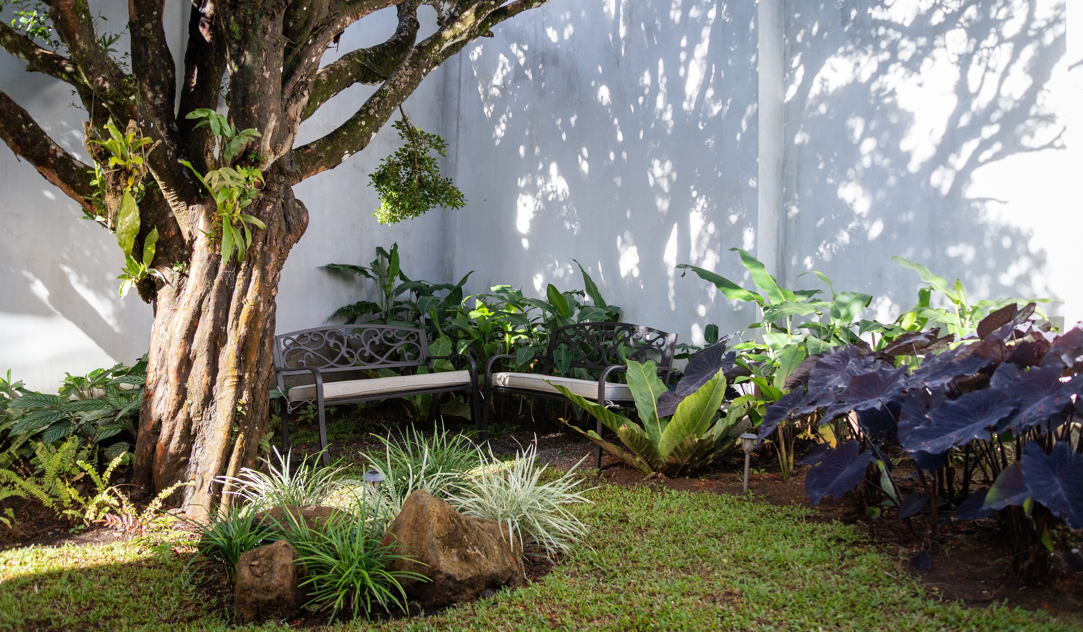 Ocotea Hotel ́s back garden 03