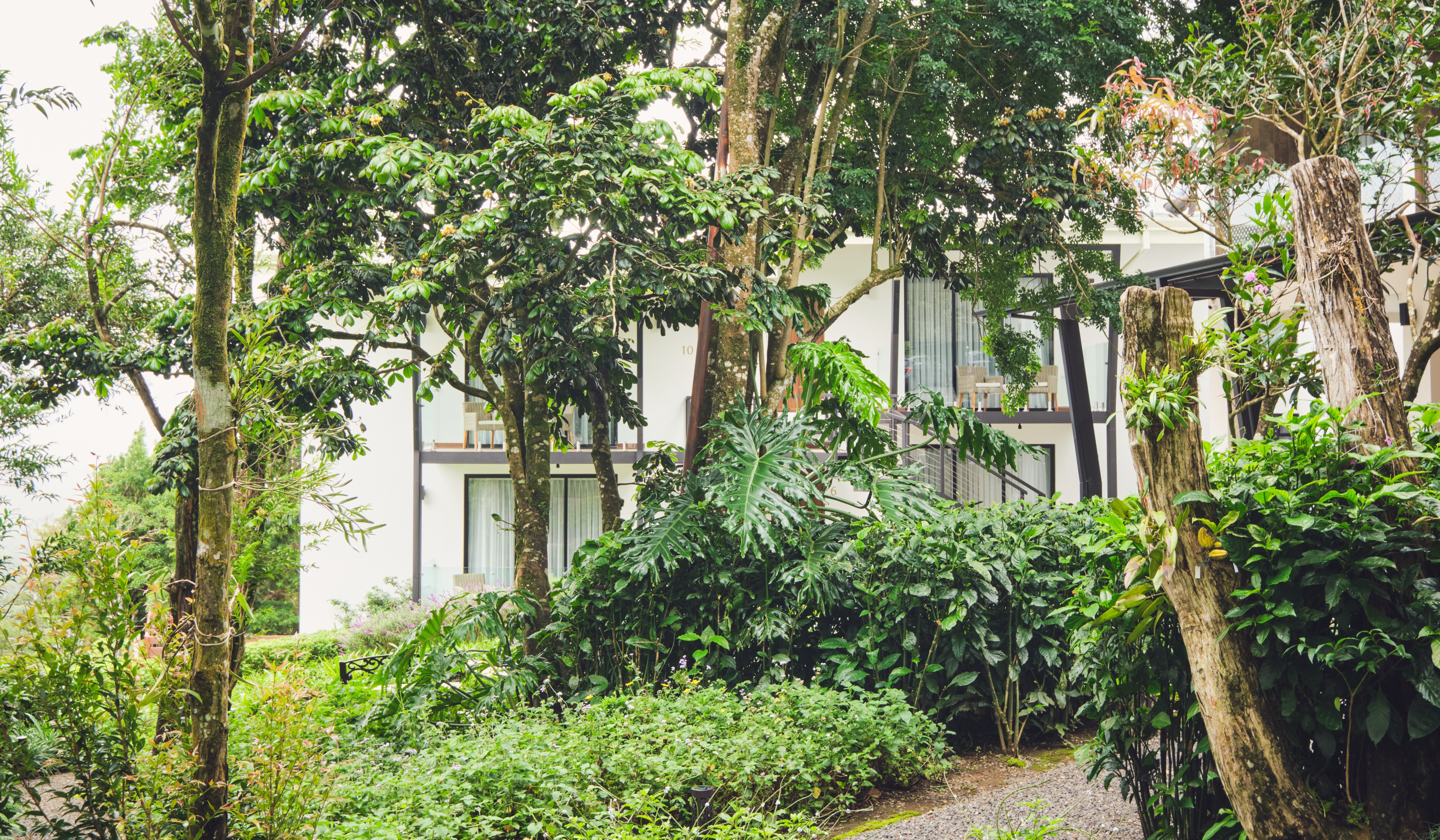 Ocotea Hotel ́s front garden 04