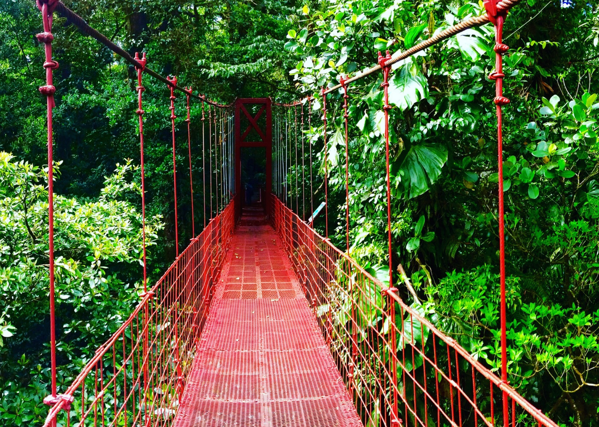 Monteverde Cloud Forest Reserve