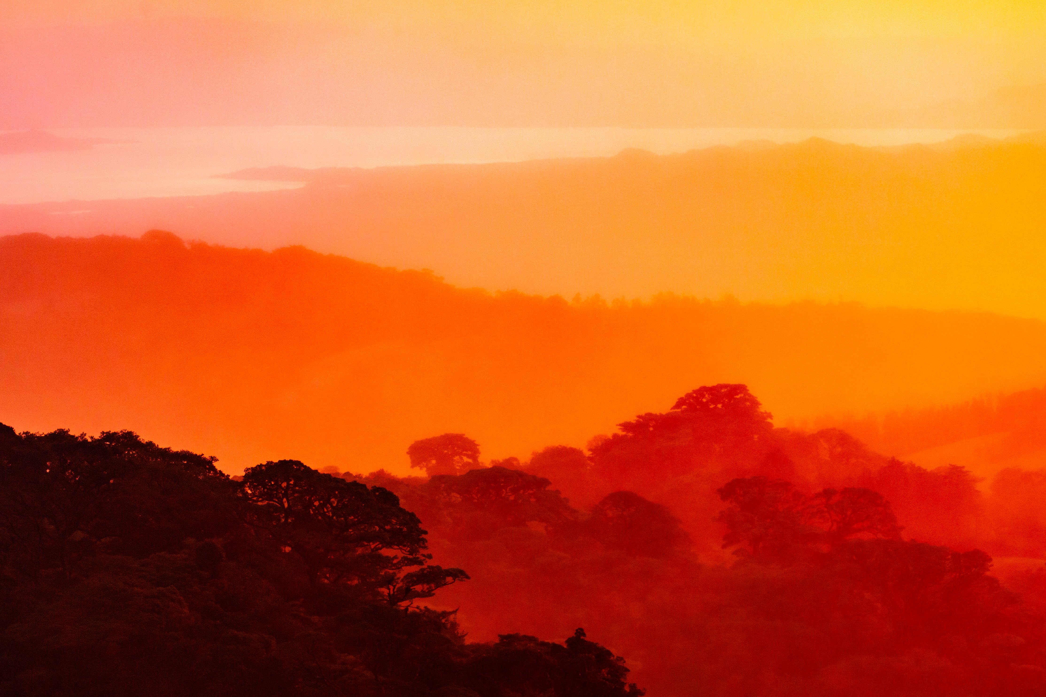 Monteverde Canopy view, Costa Rica