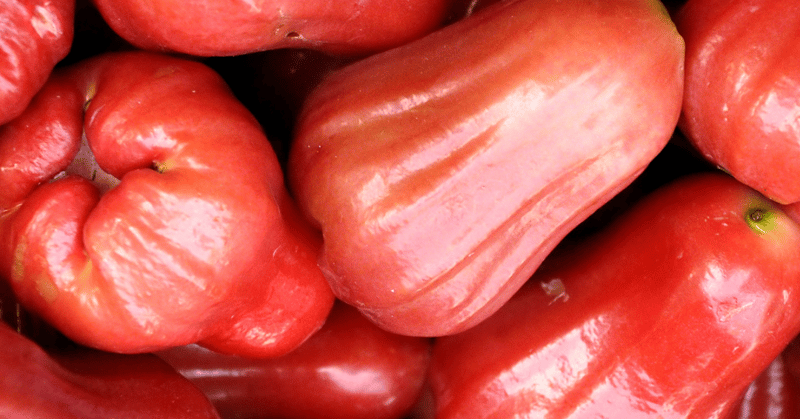 Water apple, manzana de agua