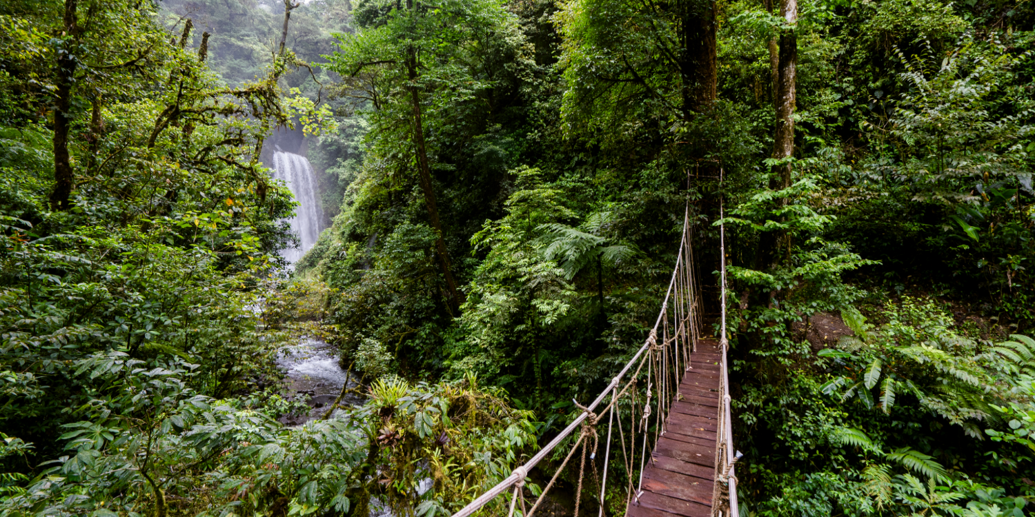 Exploring the Cloud Forests of Monteverde