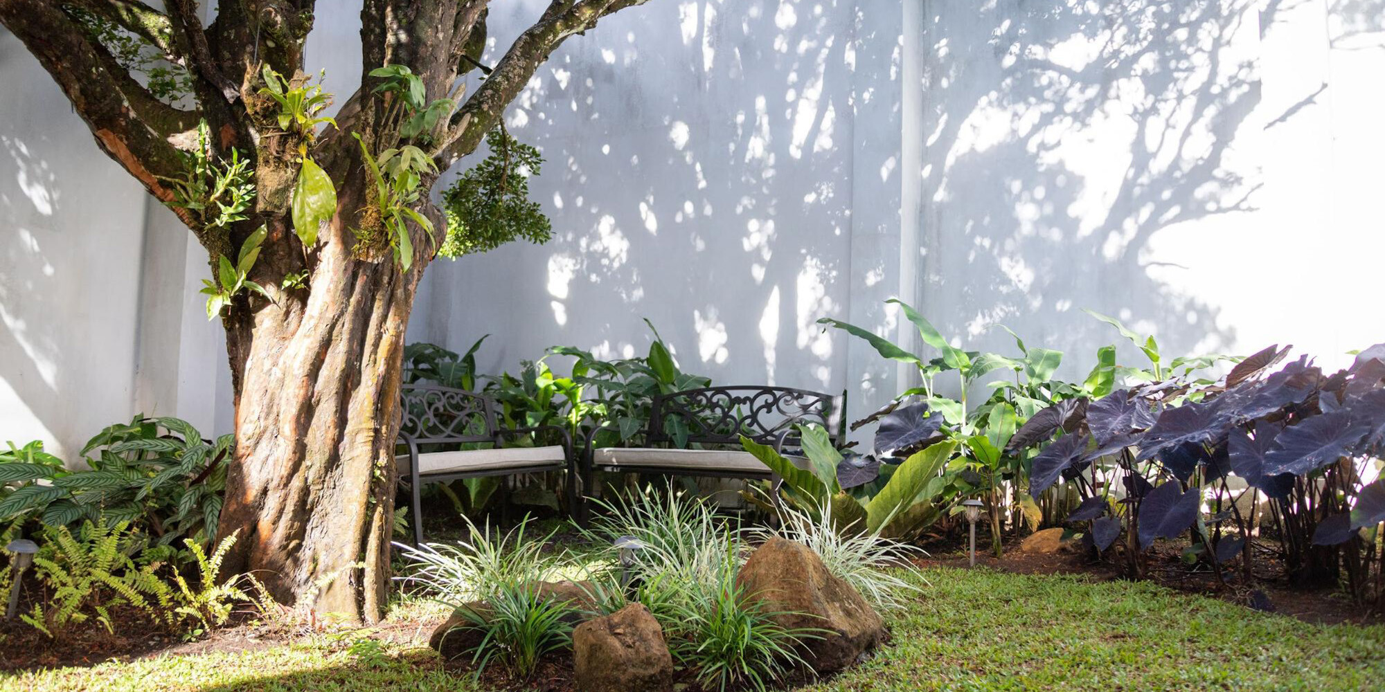 3 Simple Practices to Capture the Peace of Monteverde in Your Daily Life