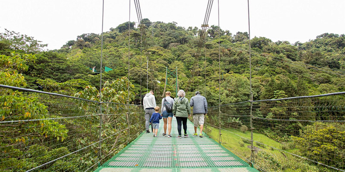 The Complete Guide to Monteverde
